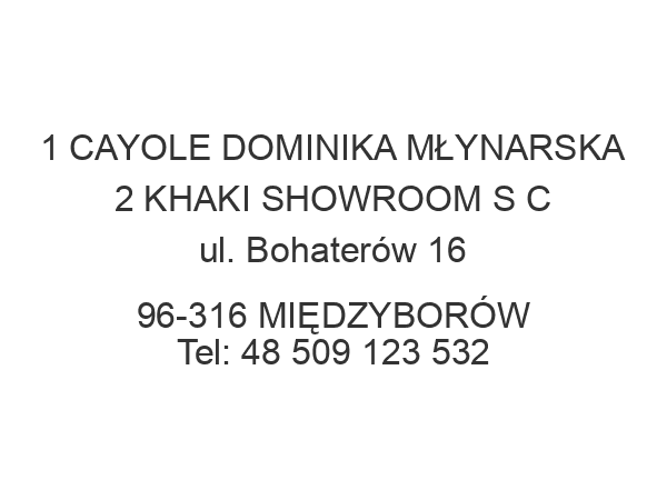 1 CAYOLE DOMINIKA MŁYNARSKA 2 KHAKI SHOWROOM S C ul. Bohaterów 16 