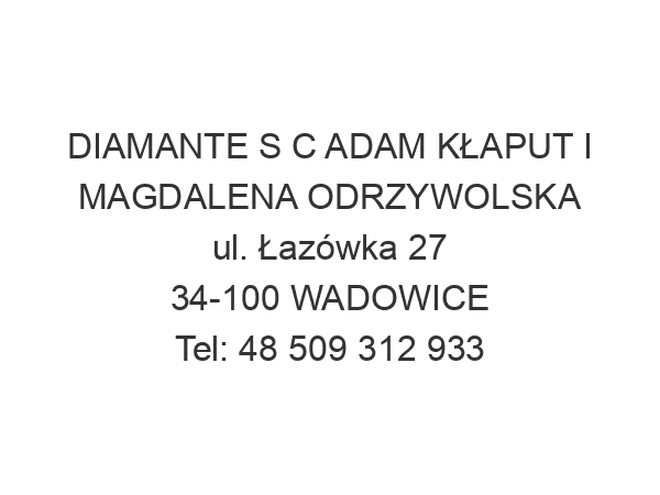 DIAMANTE S C ADAM KŁAPUT I MAGDALENA ODRZYWOLSKA ul. Łazówka 27 