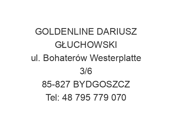 GOLDENLINE DARIUSZ GŁUCHOWSKI ul. Bohaterów Westerplatte 3/6 