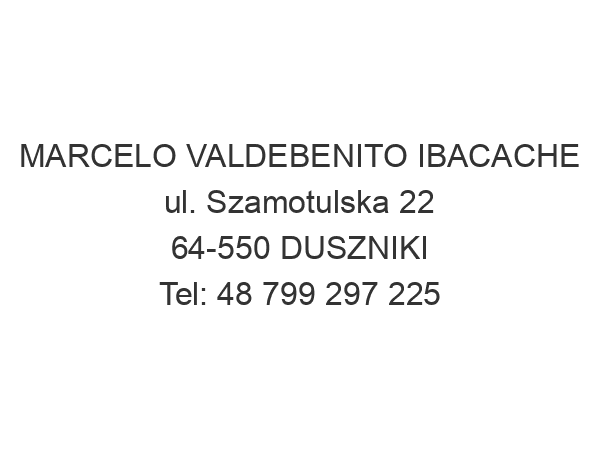 MARCELO VALDEBENITO IBACACHE ul. Szamotulska 22 