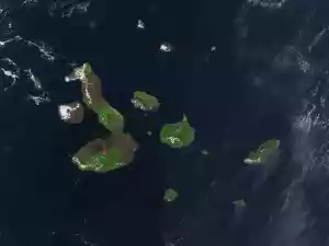 galapagos