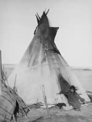 tipi