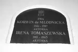 iwa młodnicka