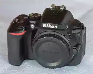 nikon d5600