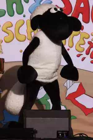 baranek shaun